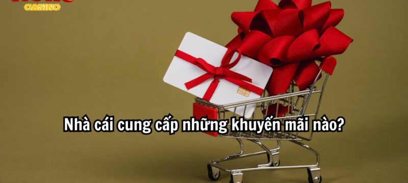 Nhà cái cung cấp những khuyến mãi nào?