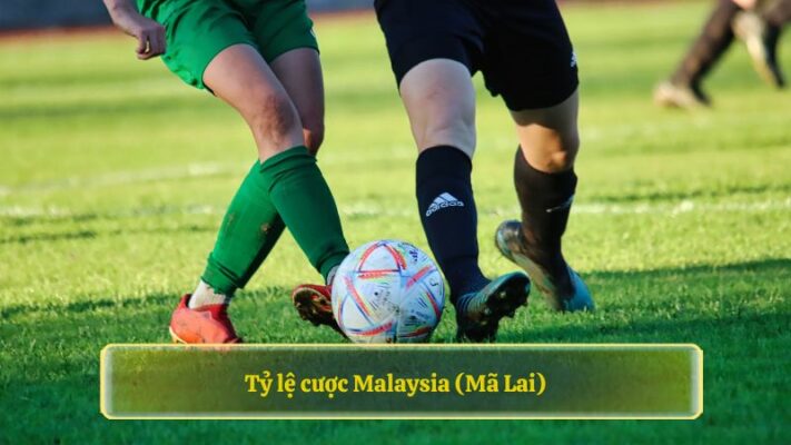 Tỷ lệ cược Malaysia (Mã Lai)